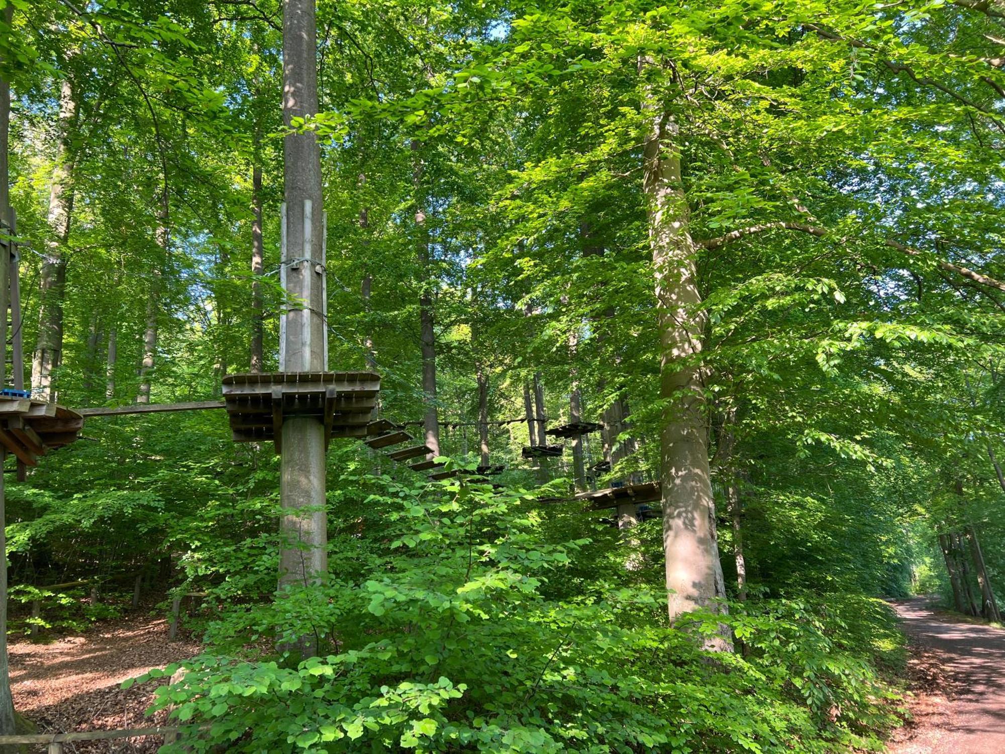 Bergschloesschen Edersee Waldeck  Eksteriør billede